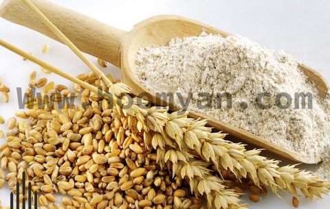2-1- Flour Wheat (Gandom Ard) (28 Dec. 2021)